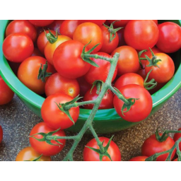 Photo of Tomatoes Sugar Bite 200g