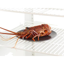 Photo of Brolos Lobster Whole Cooked Frozen Each