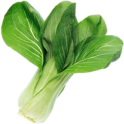 Photo of Baby Bok Choy Each