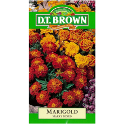 Photo of Dt Brown Seeds Marigold