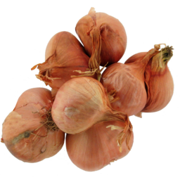 Photo of Shallot Onions