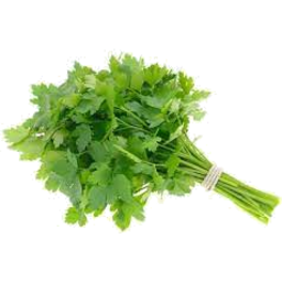 Photo of Parsley Continental Sleeve