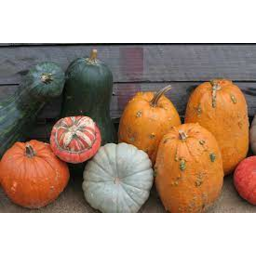 Photo of Whole Pumpkin Heirloom / Kg