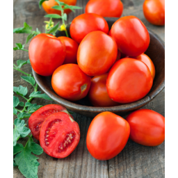 Photo of Tomato Roma