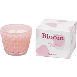 Photo of Candle Bloom Dusty Pink Lily