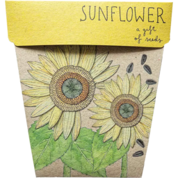 Photo of Sow n' Sow Gift of Seeds - Sunflower