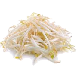 Photo of Bean Sprouts 300g