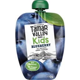 Photo of Tamar Valley Kids Blueberry All Natural Greek Yoghurt Pouch 110g
