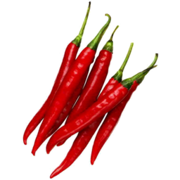 Photo of Red Chilli