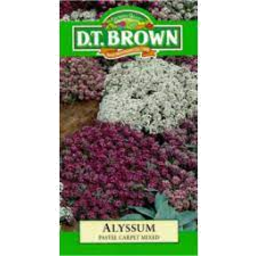 Photo of Dt Brown Alyssum Pastel Carpet
