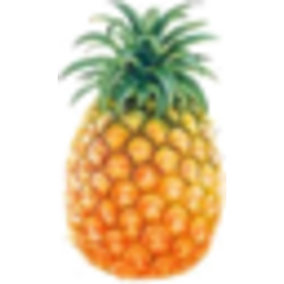 Photo of Pineapple Baby Each