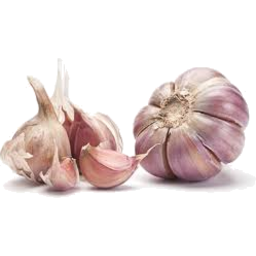 Photo of Garlic Organic
