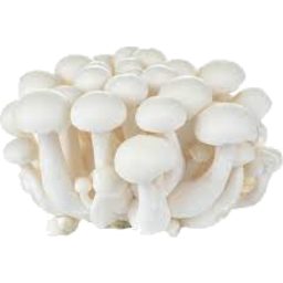 Photo of Beech Mushrooms
