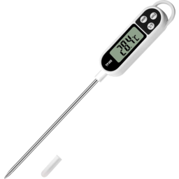 Photo of Long Digital Thermometer