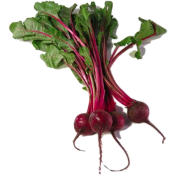 Photo of BEETROOT BABY BUNCH