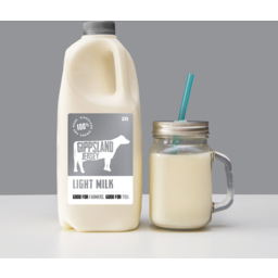 Photo of Gipps Jersey Lite Milk