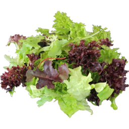 Photo of AUS GREEN GROWERS Salad Mix Mesculan Organic 100g