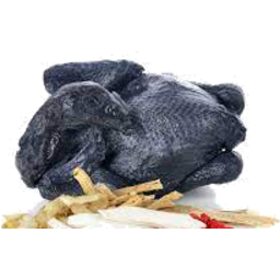 Photo of Golden Poultry Silkies Black Bone Size 5