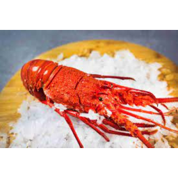 Photo of Lobster Cooked Frozen Wa