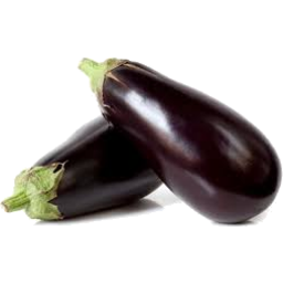 Photo of Farm Field Eggplant