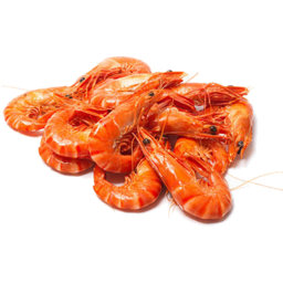 Photo of Tiger Prawns Cooked Extra Large per kg