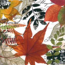 Photo of Napkin, Lunch, Autumn Collage 20-pack