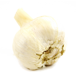 Photo of Garlic Giant Russian Organic