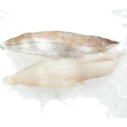 Photo of King George Whiting Kg
