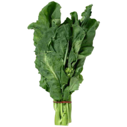 Photo of Broccoli Chinese 