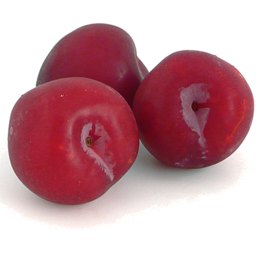 Photo of Plums Radiant