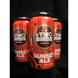 Photo of Two Birds Brewing Sunset Ale 4pk