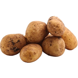 Photo of Potatoes Nicola Organic