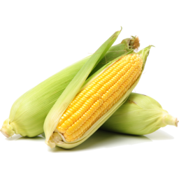 Photo of Sweet Corn On The Cob 