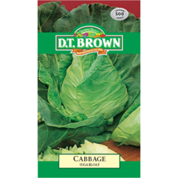 Photo of D.T.Brown Cabbage Sugarloaf Seeds