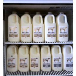 Photo of Gipps Jersey Milk Full Cream