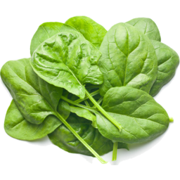 Photo of SPINACH