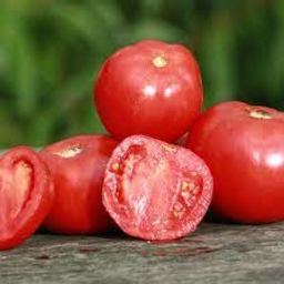 Photo of Tomatoes 1st Semi Kg