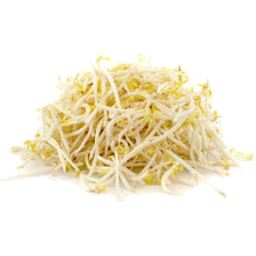 Photo of Bean Sprouts 500g**
