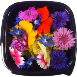 Photo of Edible Flowers 10g