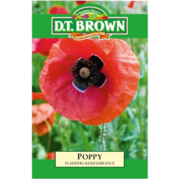 Photo of DT Brown Poppy Flanders Red Seeds