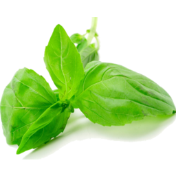 Photo of  	Basil - Half Bunch (PACK)