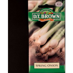 Photo of D.T.Brown Seeds Spring Onion