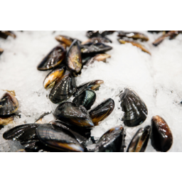 Photo of Frozen Australian Black Mussels Kg