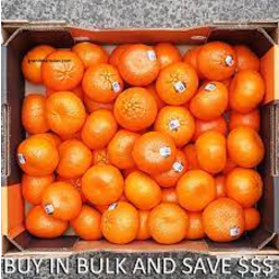 Photo of Box Mandarines Tangold