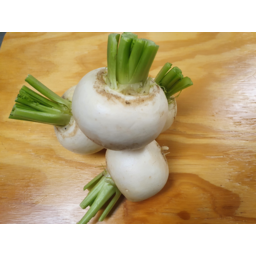 Photo of Turnips Japanese