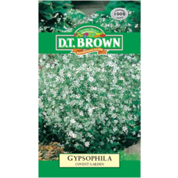 Photo of 	D.T. BROWN GYPSOPHILIA COVENT GARDEN