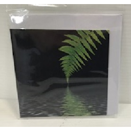 Photo of Small Gift Card with Envelope - Fern 