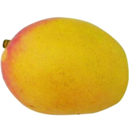 Photo of Mangoes R2e2