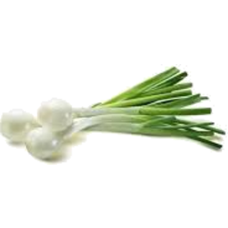 Photo of Onion White Salad