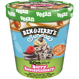 Photo of Ben & Jerry’S Non-Dairy Frozen Dessert Berry Revolutionary Sundae 427 Ml 